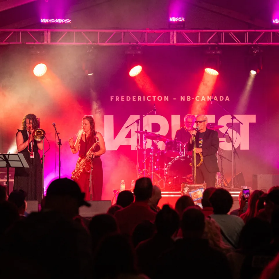 A magenta-lit stage and a packed crowd at Harvest, downtown Fredericton